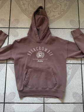 abercrombie kids brown logo hoodie